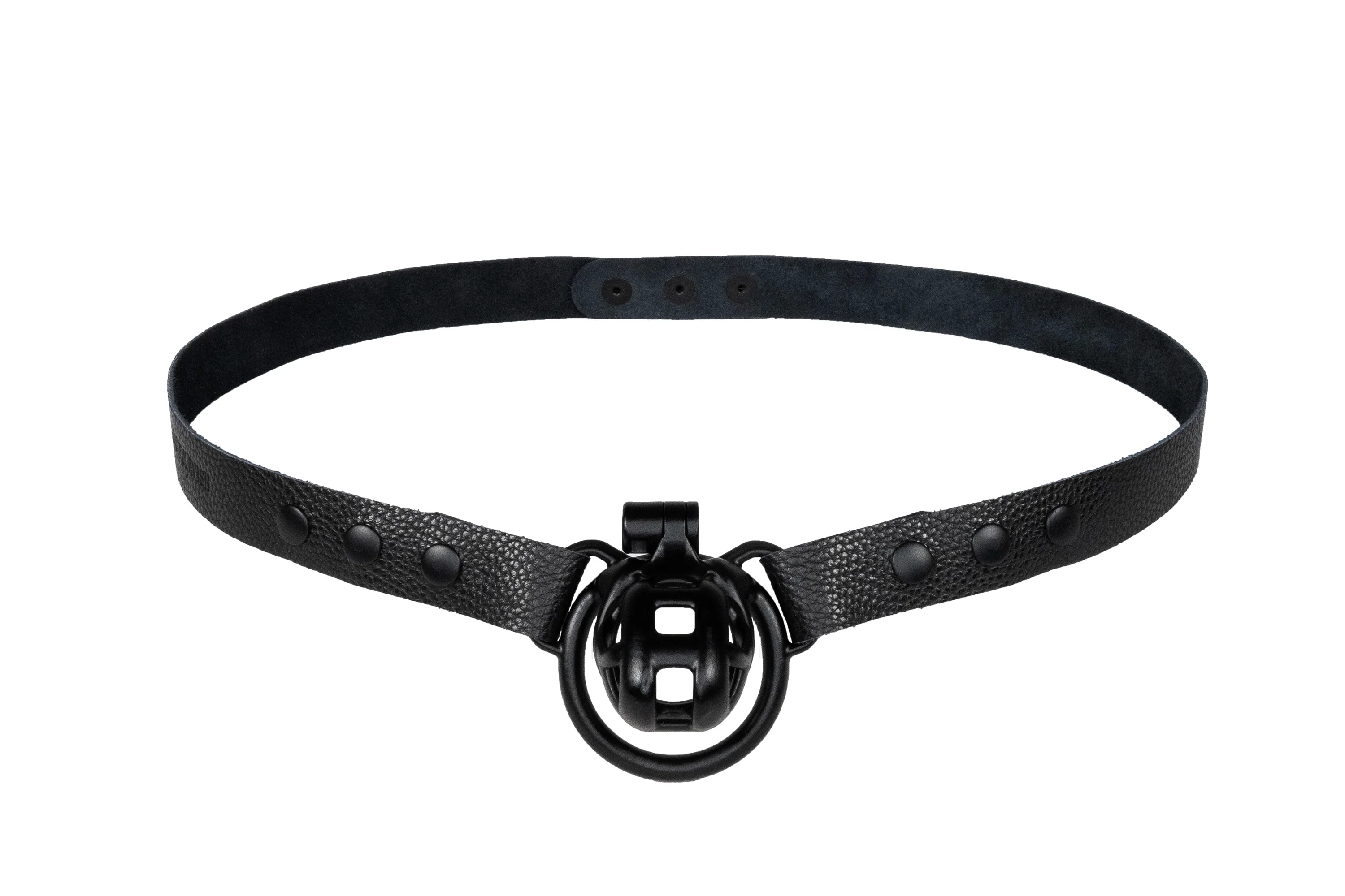 Straps & Strap Rings